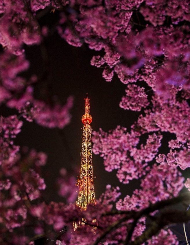 Góc Paris giữa lòng Đà Lạt khiến du khách mê mẩn