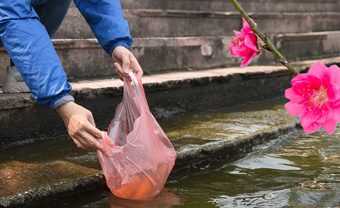 Tết ông Công ông Táo: Nét văn hóa tín ngưỡng của người Việt