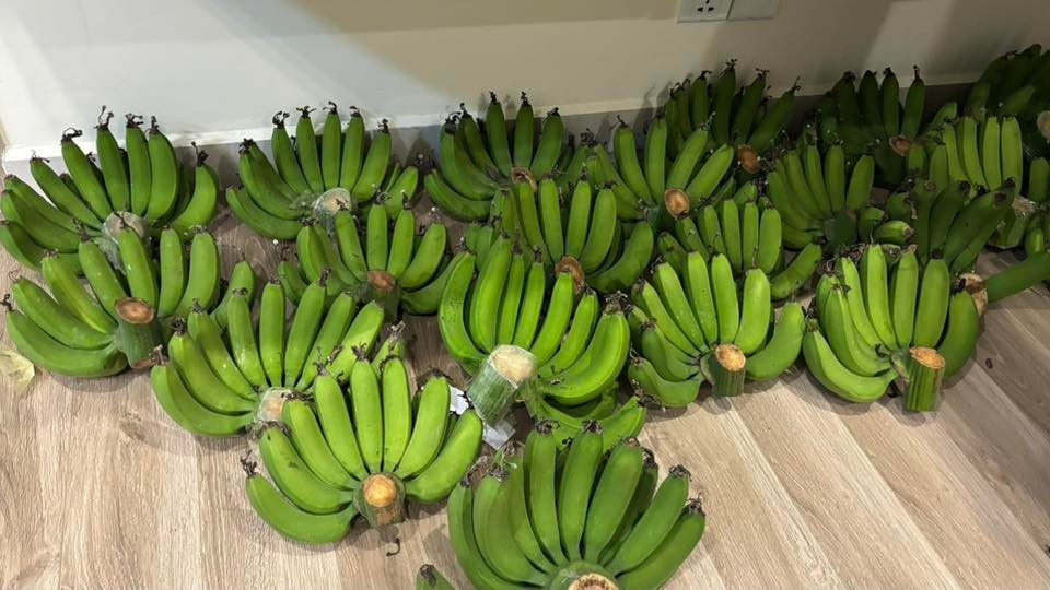 Vài trăm nghìn đồng một nải chuối xanh dịp cận Tết Vài trăm nghìn đồng một nải chuối xanh dịp cận Tết