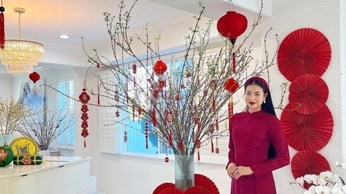 Đón Tết nơi xứ người, Phạm Hương thướt tha áo dài trong biệt thự riêng