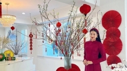 Đón Tết nơi xứ người, Phạm Hương thướt tha áo dài trong biệt thự riêng