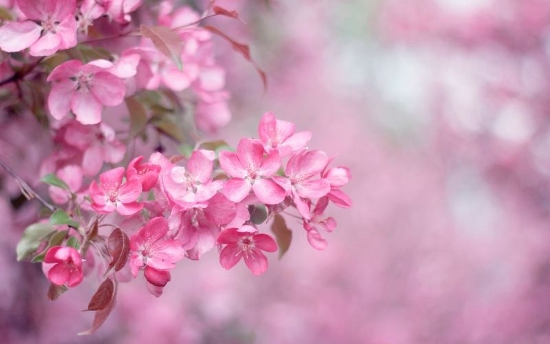 Tử vi tuần mới (16-22/2/2026): Tuổi Mão nắm bắt cơ hội, tuổi Mùi tràn đầy nhiệt huyết Tử vi tuần mới (16-22/2/2026): Tuổi Mão nắm bắt cơ hội, tuổi Mùi tràn đầy nhiệt huyết