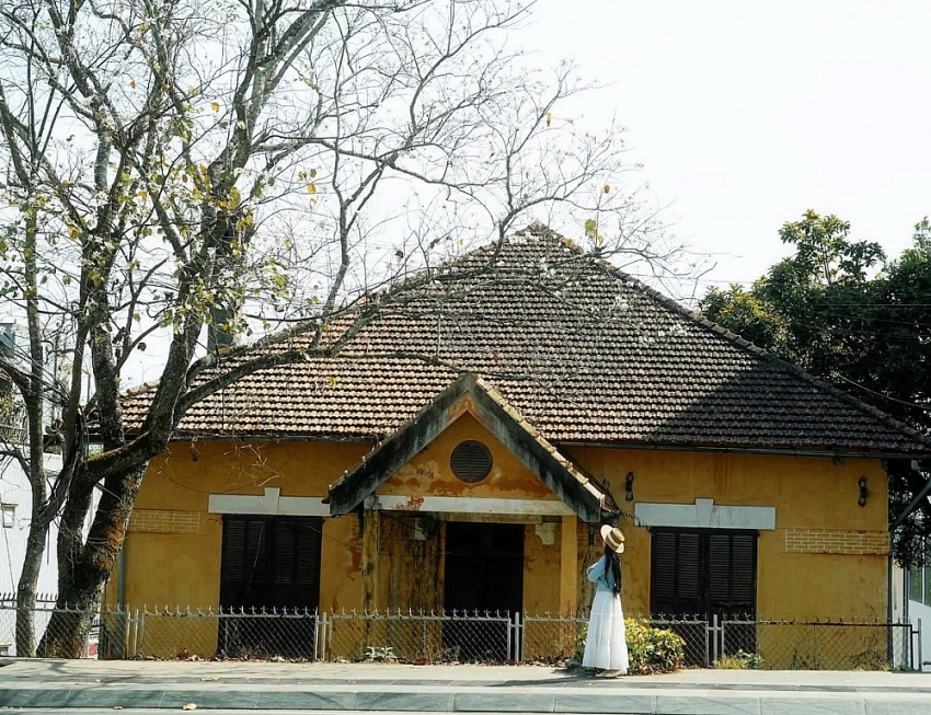 Ban trắng nở khắp Đà Lạt, hút khách du xuân