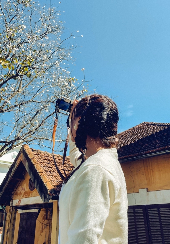 Ban trắng nở khắp Đà Lạt, hút khách du xuân