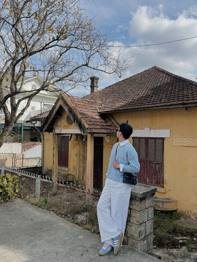 Ban trắng nở khắp Đà Lạt, hút khách du xuân