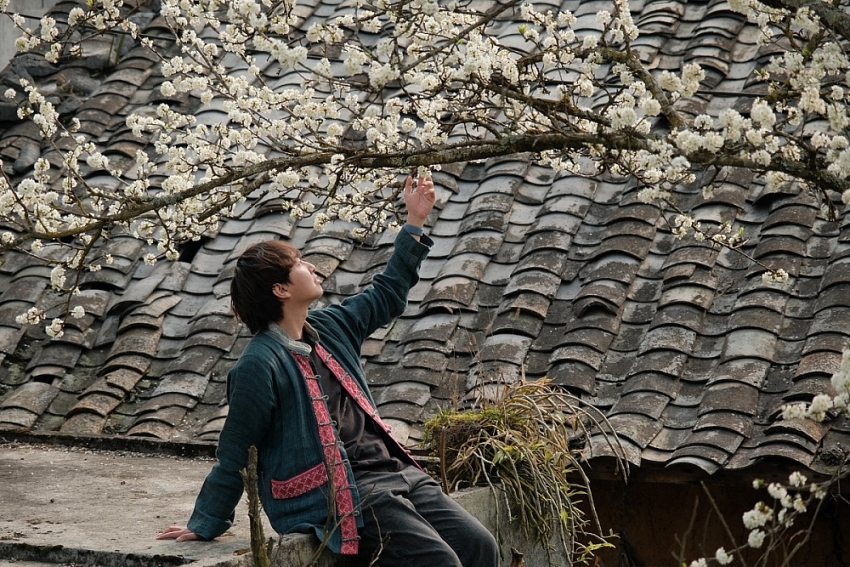 Xuân về Lao Xa, hoa nở bên những hàng rào đá cổ