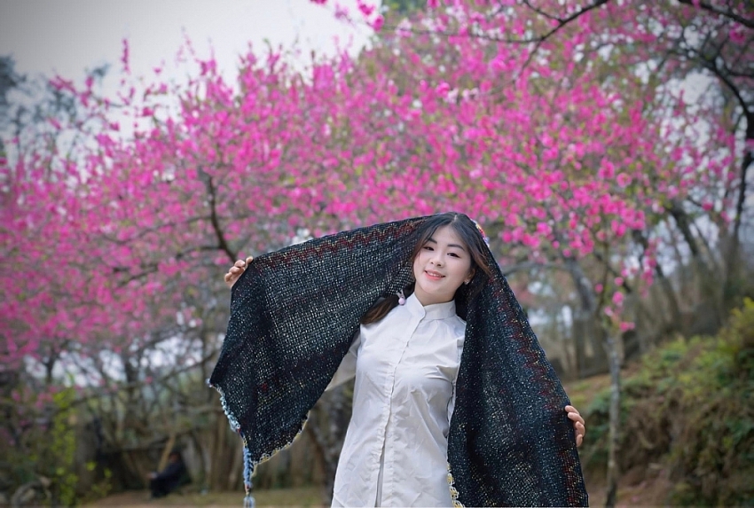 Du xuân lên Lùng Cúng, ngắm đào nở giữa thung lũng mây