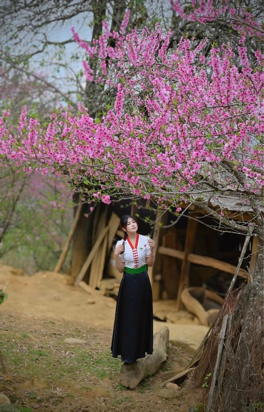 Du xuân lên Lùng Cúng, ngắm đào nở giữa thung lũng mây