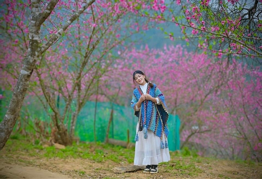 Du xuân lên Lùng Cúng, ngắm đào nở giữa thung lũng mây