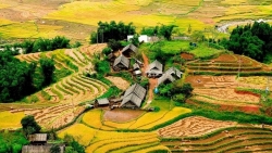 Những điểm du lịch Sa Pa không thể bỏ lỡ dịp đầu Xuân