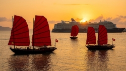 Sắc đỏ giữa vịnh Hạ Long khiến du khách mê mẩn