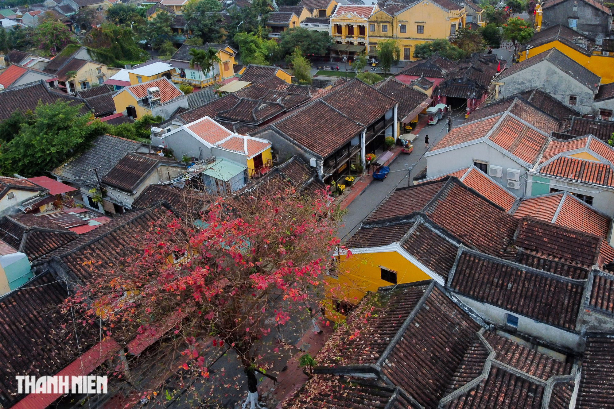 Phố cổ Hội An mùa bàng lá đỏ Phố cổ Hội An mùa bàng lá đỏ