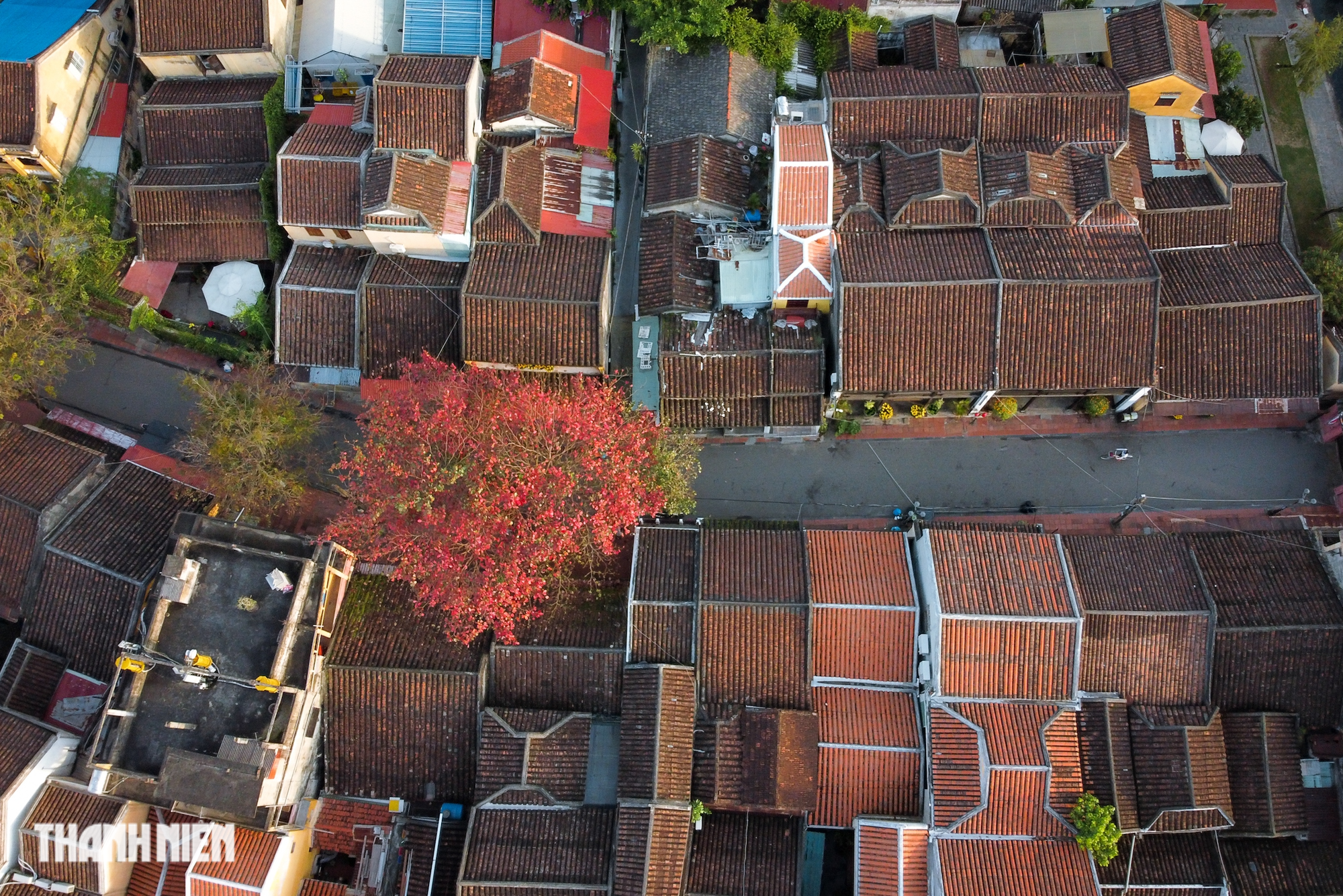 Phố cổ Hội An mùa bàng lá đỏ Phố cổ Hội An mùa bàng lá đỏ