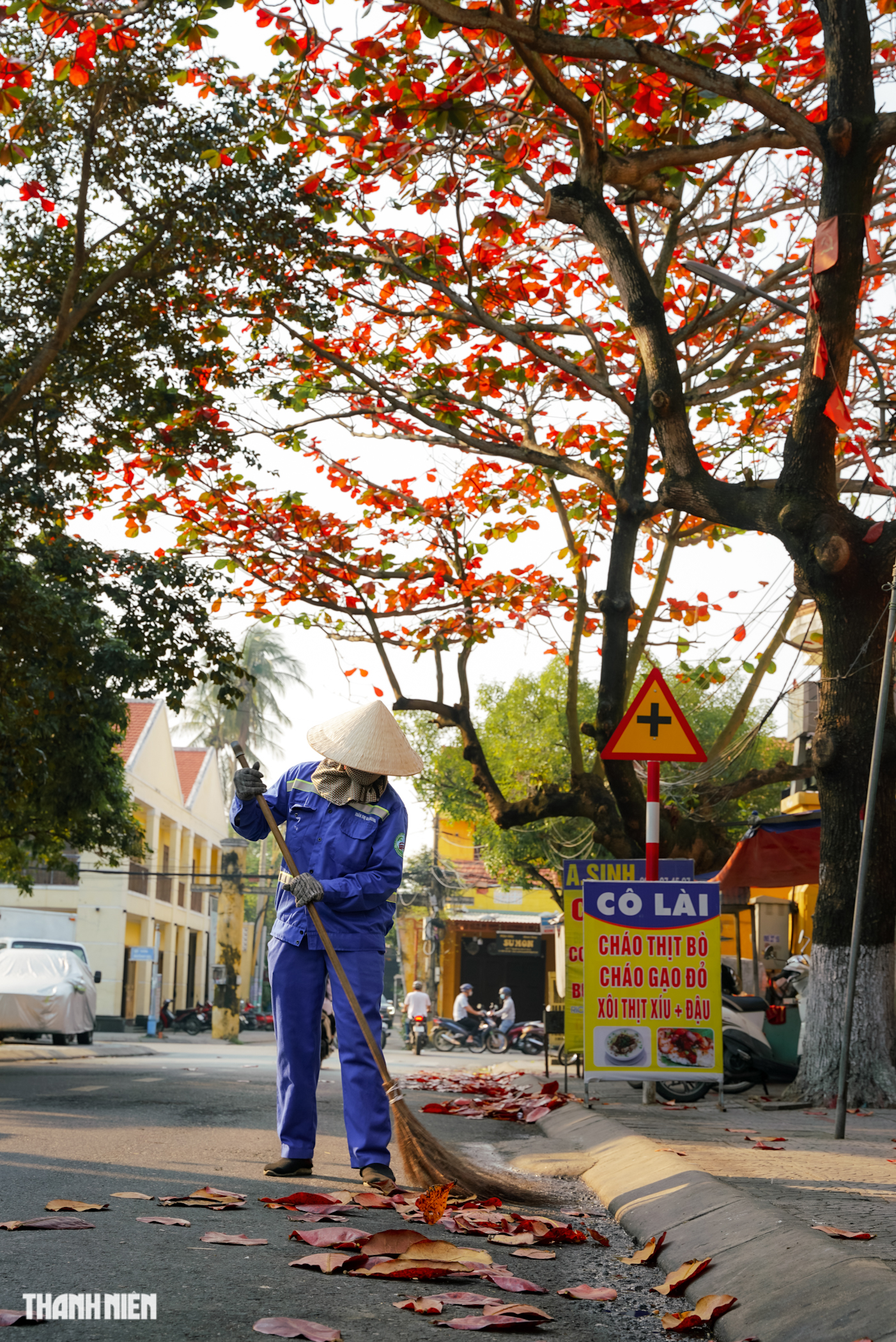 Phố cổ Hội An mùa bàng lá đỏ Phố cổ Hội An mùa bàng lá đỏ