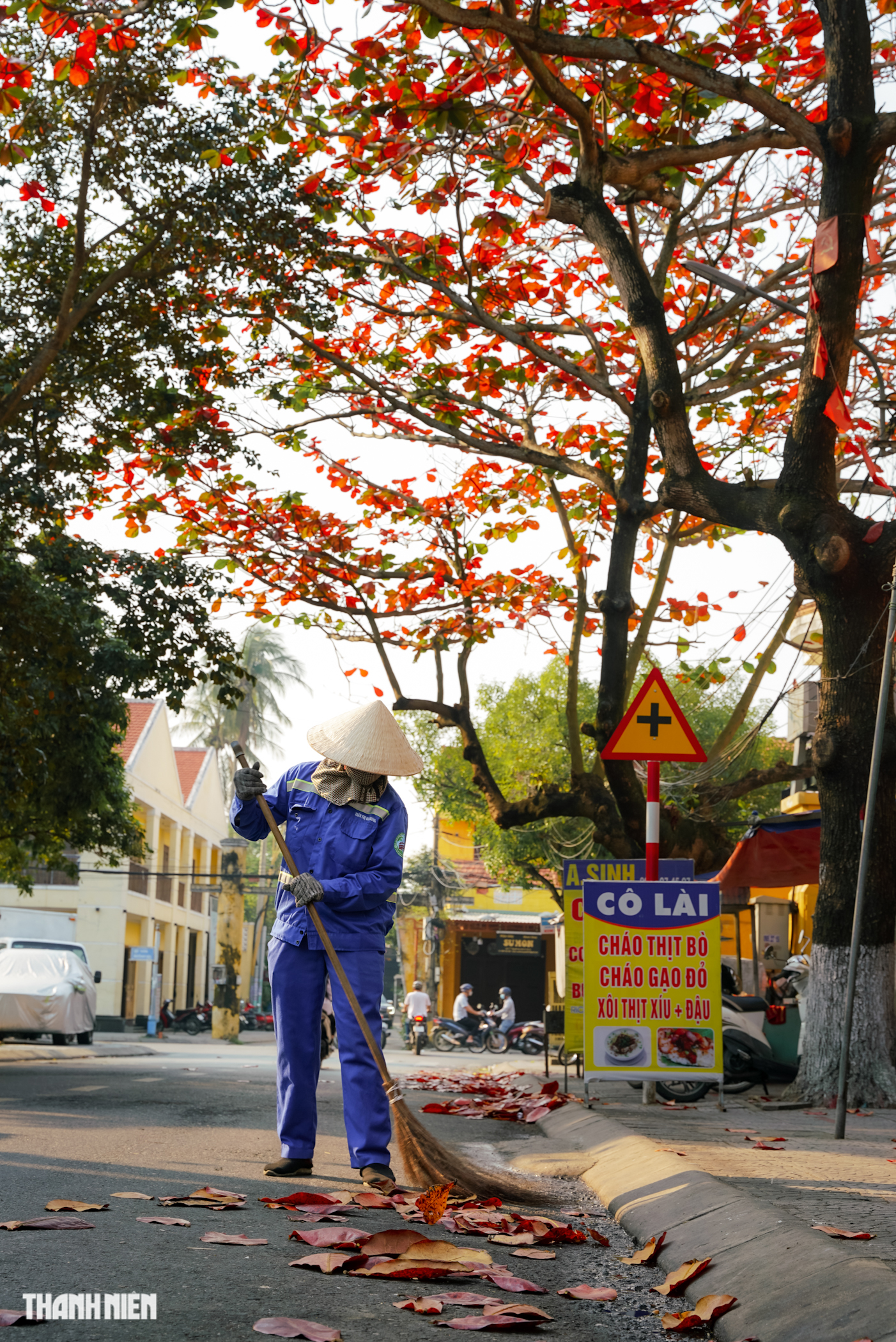 Phố cổ Hội An mùa bàng lá đỏ