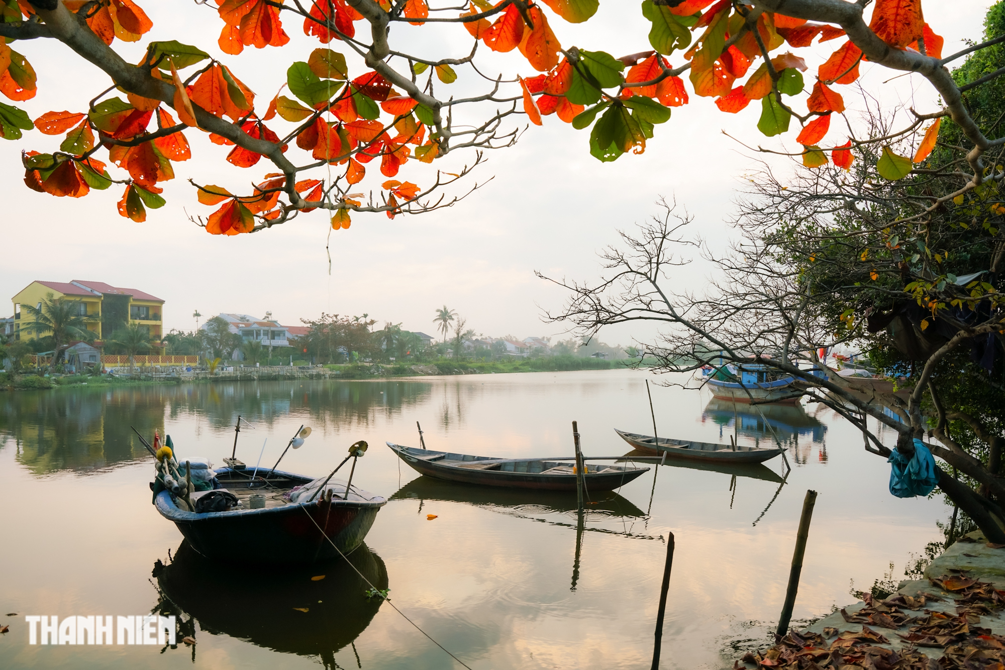 Phố cổ Hội An mùa bàng lá đỏ Phố cổ Hội An mùa bàng lá đỏ