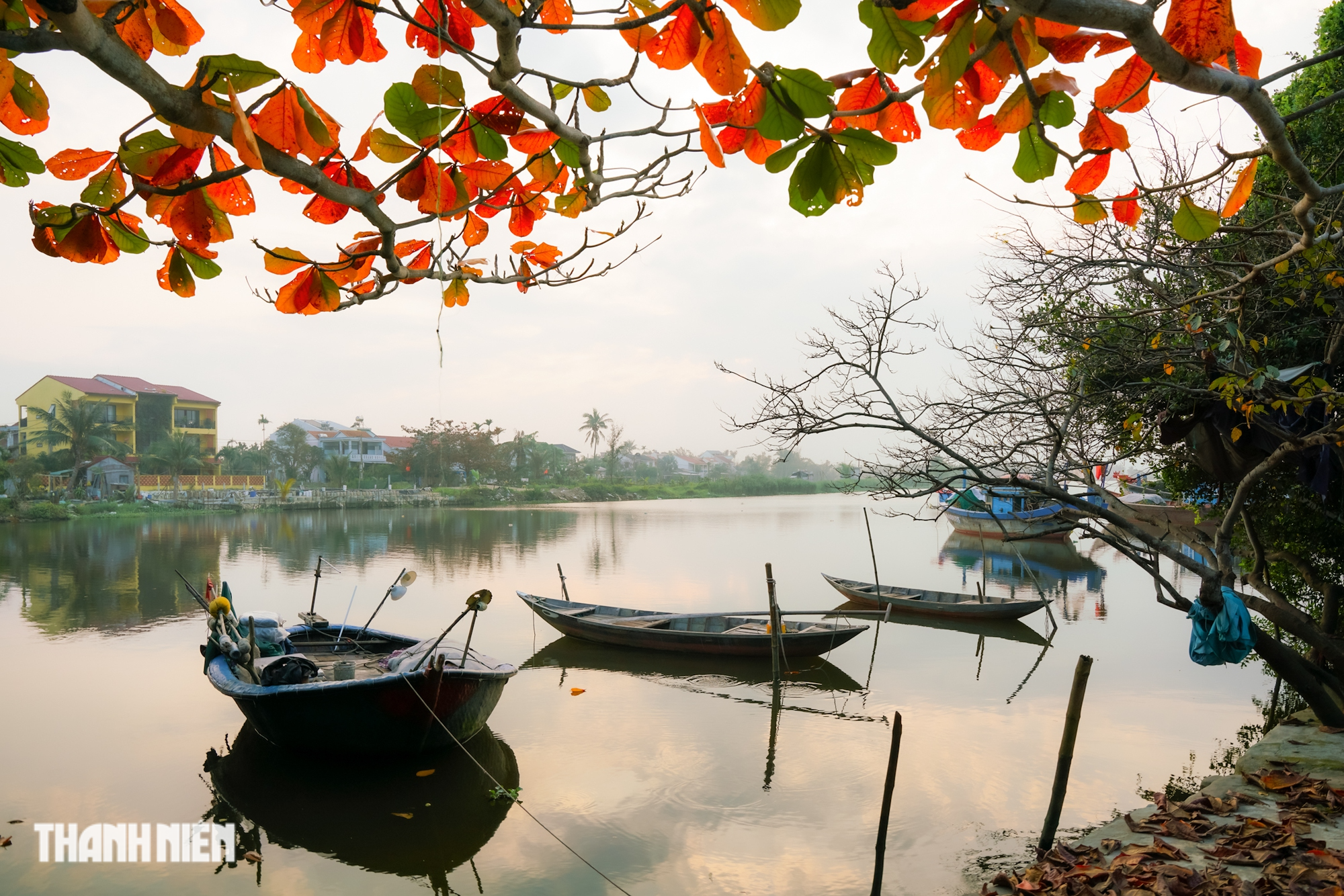 Phố cổ Hội An mùa bàng lá đỏ