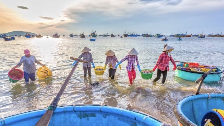 8 bãi biển đẹp nhất Việt Nam nên đi vào hè này