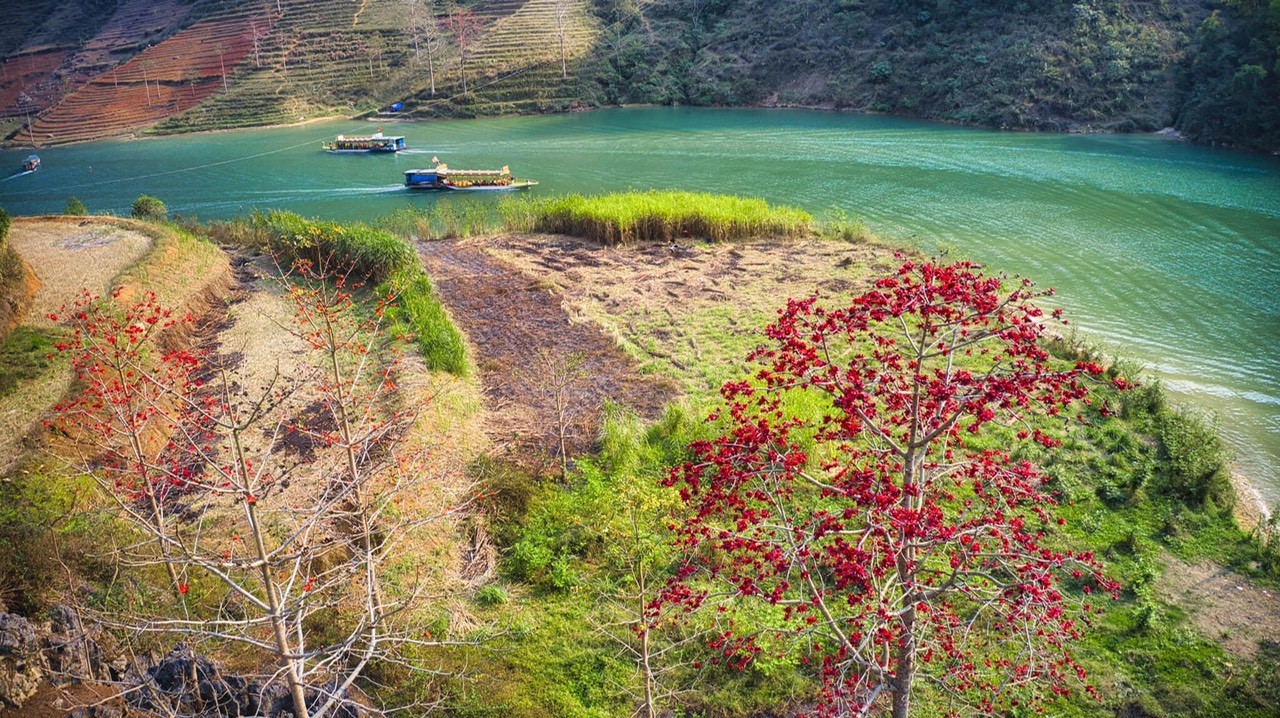 Mê mẩn ngắm Hoa gạo đỏ rực bên bờ sông Nho Quế Hà Giang