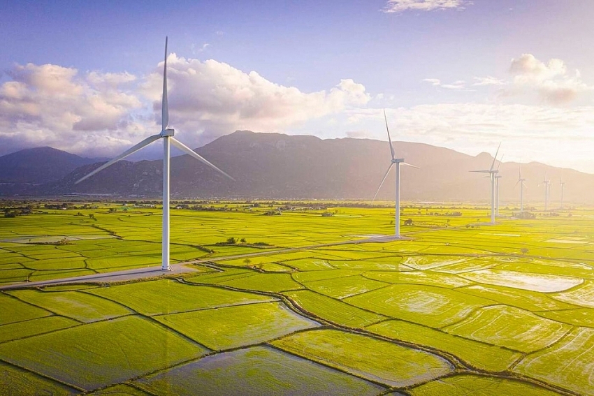 Say lòng trước vẻ đẹp bất tận của cánh đồng điện gió Đầm Nại