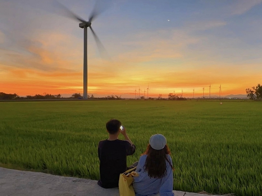 Say lòng trước vẻ đẹp bất tận của cánh đồng điện gió Đầm Nại