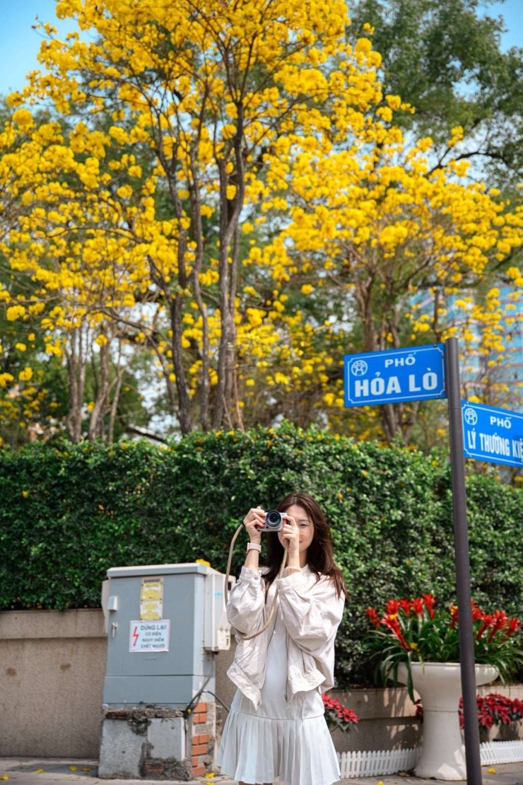 Hà Nội: 4 địa điểm check-in hoa phong linh vàng rực rỡ thu hút giới trẻ Hà Nội: 4 địa điểm check-in hoa phong linh vàng rực rỡ thu hút giới trẻ