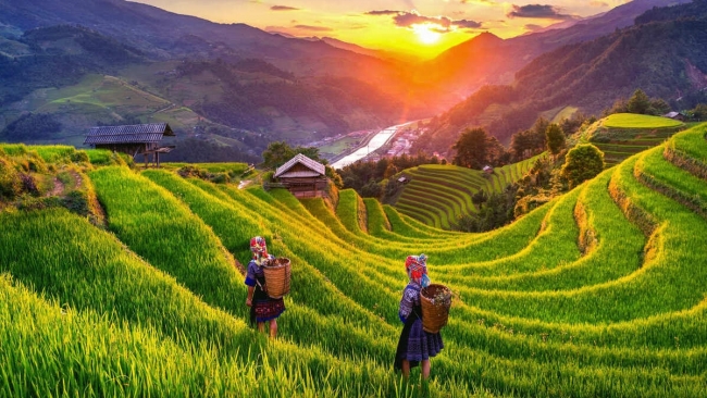 Việt Nam được đánh giá là quốc gia rẻ nhất thế giới