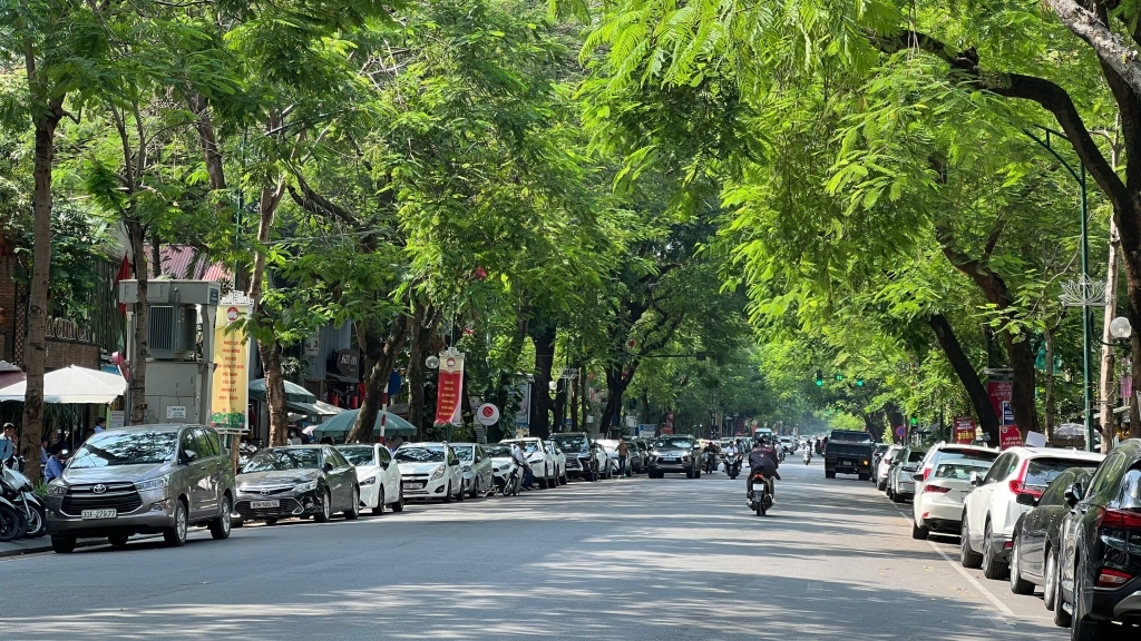 Dự báo thời tiết đêm nay và ngày mai 12/3: Hà Nội và các khu vực trên cả nước