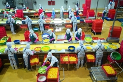 Rau quả Việt trước “cơn bão” chi phí và logistics