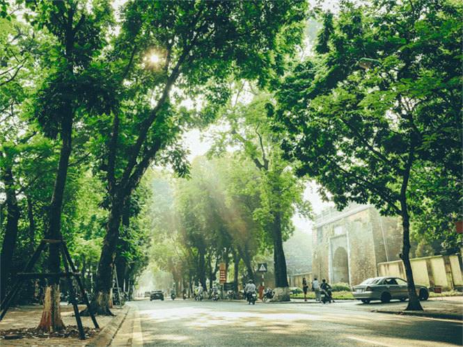 Dự báo thời tiết đêm nay và ngày mai 29/3: Hà Nội và các khu vực trên cả nước Dự báo thời tiết đêm nay và ngày mai 29/3: Hà Nội và các khu vực trên cả nước