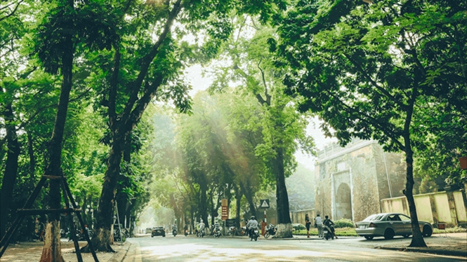 Dự báo thời tiết đêm nay và ngày mai 29/3: Hà Nội và các khu vực trên cả nước