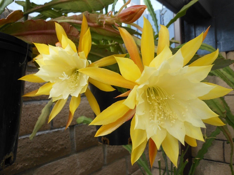 Tử vi tuần mới (30/3-5/4/2026): Tuổi Mão năng lực vượt trội, tuổi Thìn phần thưởng bất ngờ Tử vi tuần mới (30/3-5/4/2026): Tuổi Mão năng lực vượt trội, tuổi Thìn phần thưởng bất ngờ