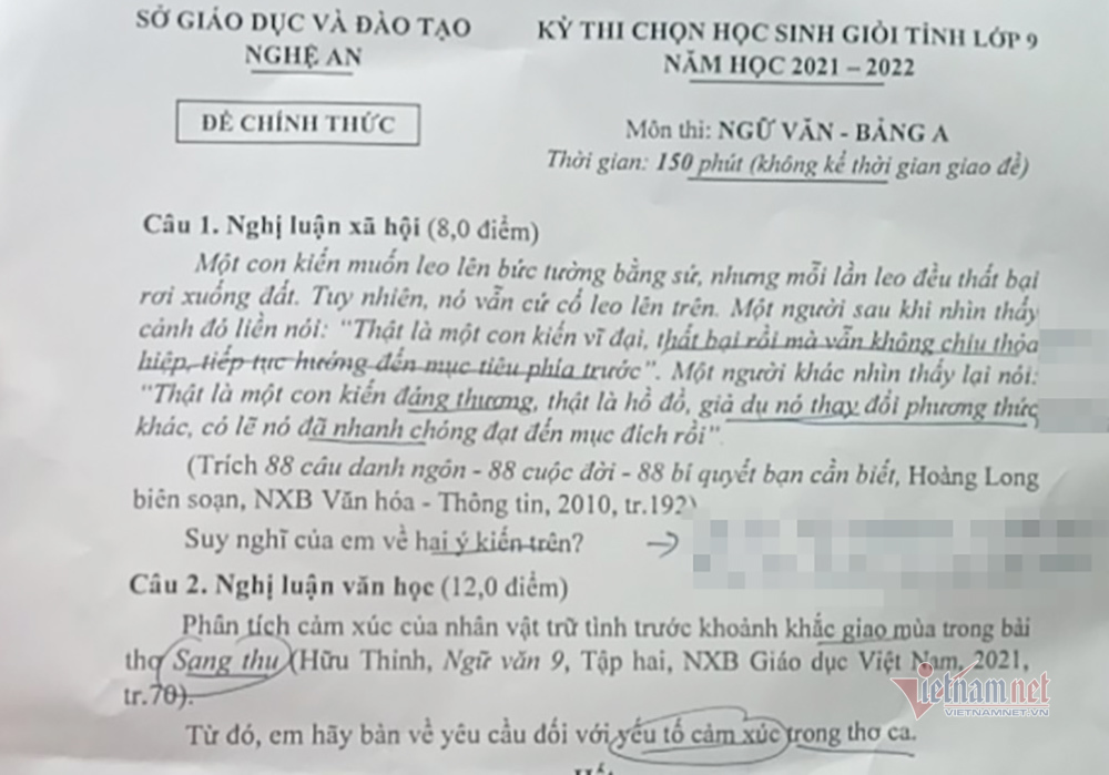 Câu chuyện ‘con kiến leo tường’ và bài văn giải nhất ở Nghệ An