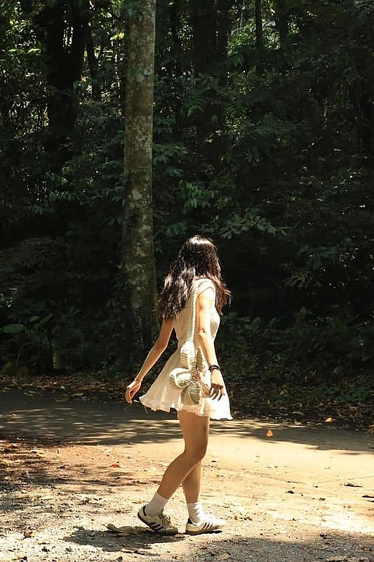 Về Cúc Phương, lạc lối giữa “thiên đường bướm“