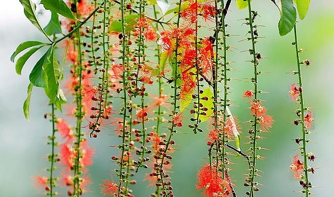 Dự báo thời tiết đêm nay và ngày mai 29/4: Hà Nội và các khu vực trên cả nước