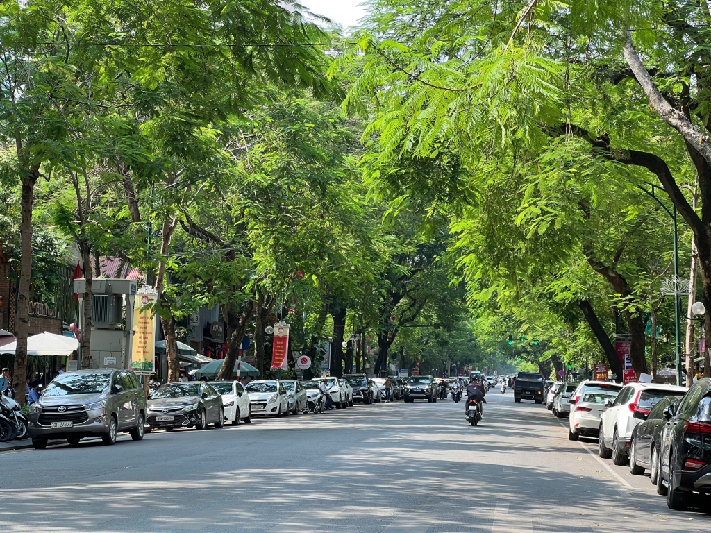 Dự báo thời tiết đêm nay và ngày mai 6/4: Hà Nội và các khu vực trên cả nước