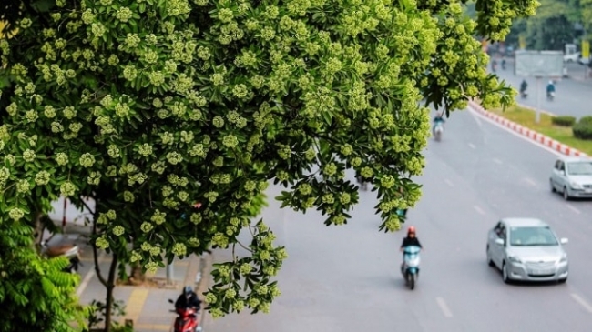 Ngọt ngào tháng tư