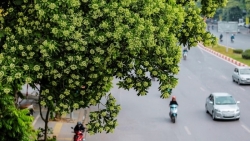 Ngọt ngào tháng tư