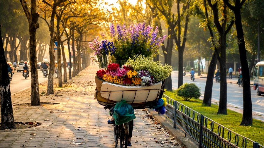 Hà Nội lọt top 10 thành phố rực rỡ sắc màu nhất thế giới