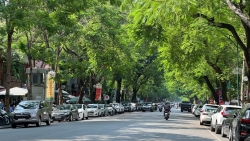 Dự báo thời tiết đêm nay và ngày mai 22/4: Hà Nội và các khu vực trên cả nước