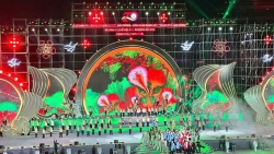 Lễ hội Hoa Phượng Đỏ – Hải Phòng 2026: Hội tụ nguồn lực, tỏa sáng bản sắc