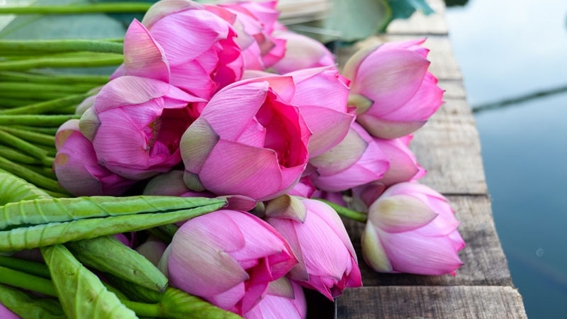 Tử vi tuần mới (27/4-3/5/2026): Tuổi Tý khẳng định tài năng, tuổi Ngọ sự nghiệp tiến triển