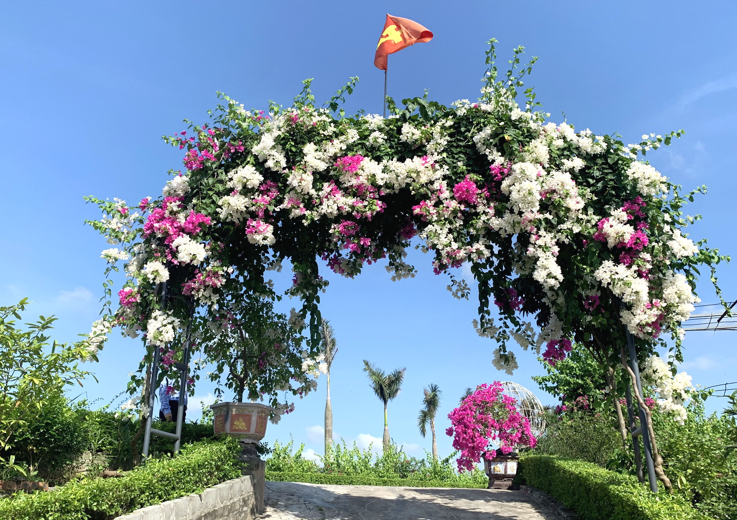 Đến Ninh Bình, check-in con đường hoa đẹp như trong phim Hàn