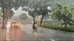 Dự báo thời tiết ngày 8/5/2024: Hà Nội cục bộ mưa to, trời mát