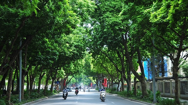 Dự báo thời tiết ngày 17/5/2024: Hà Nội ngày nắng, gió đông nam cấp 3