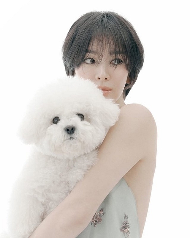 Song Joong Ki - Song Hye Kyo sau 6 năm ly hôn