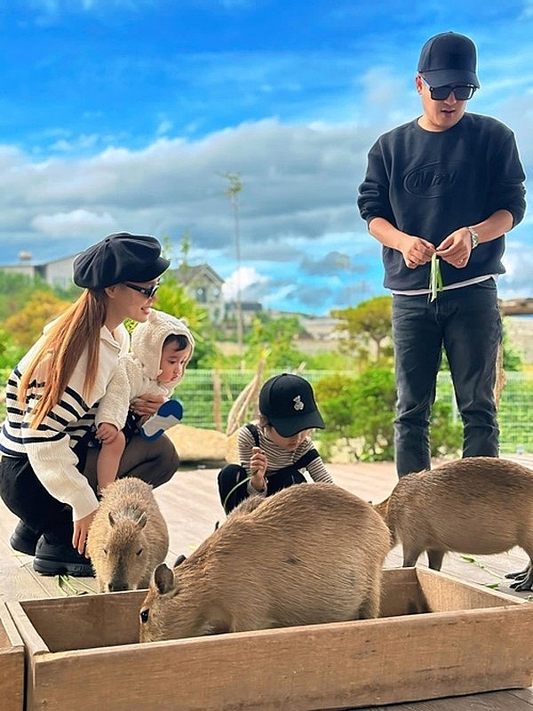 Trường Giang và dàn sao series “Lật mặt” của Lý Hải giờ ra sao? Trường Giang và dàn sao series “Lật mặt” của Lý Hải giờ ra sao?