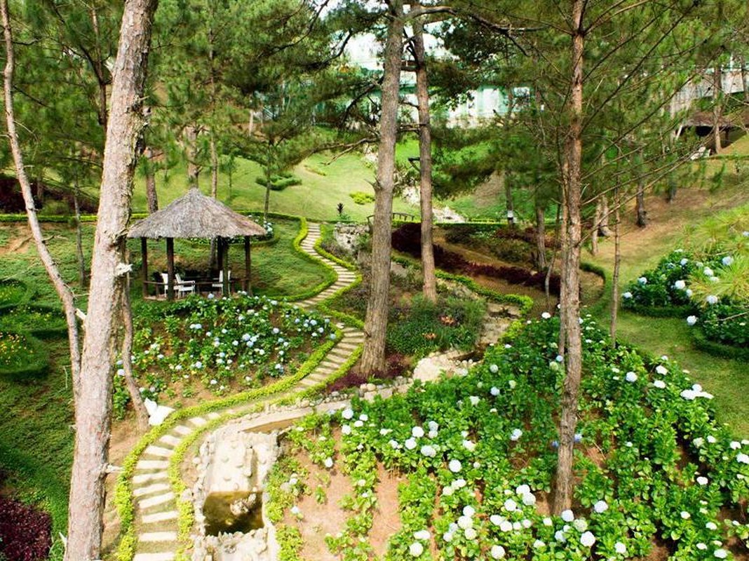 Đến Đà Lạt tìm yên bình, đừng bỏ qua 5 địa điểm này Đến Đà Lạt tìm yên bình, đừng bỏ qua 5 địa điểm này