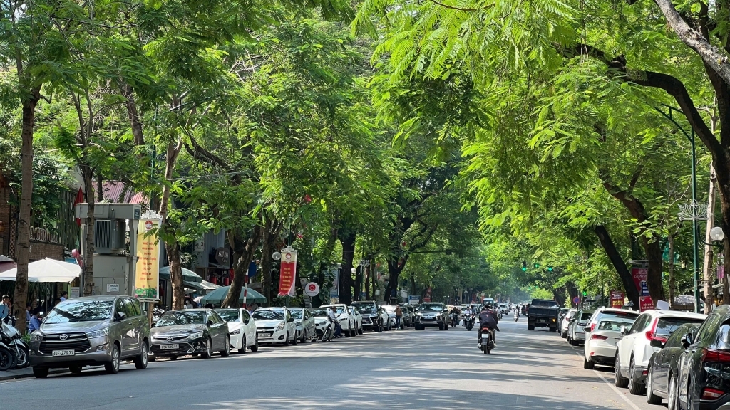 Dự báo thời tiết đêm nay và ngày mai 17/5: Hà Nội và các khu vực trên cả nước