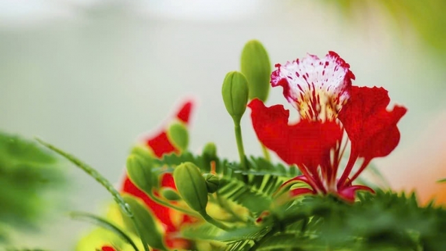 Nơi chắp cánh những ước mơ